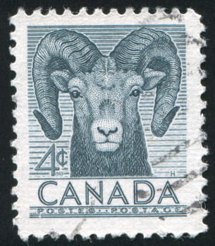 CANADA - CIRCA 1953: stamp printed by Canada, shows sheep, circa 1953
