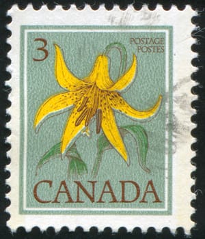 CANADA - CIRCA 1977: stamp printed by Canada, shows runner, circa 1977