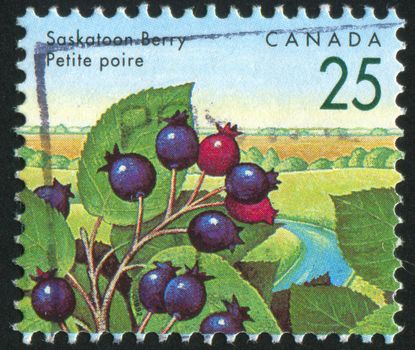 CANADA - CIRCA 1991: stamp printed by Canada, shows Saskatoon, circa 1991