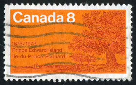 CANADA - CIRCA 1973: stamp printed by Canada, shows Oaks on Shore, circa 1973