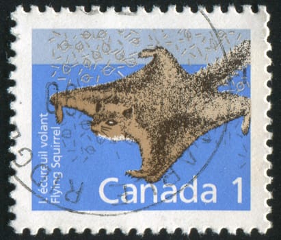 CANADA - CIRCA 1988: stamp printed by Canada, shows squirrel, circa 1988