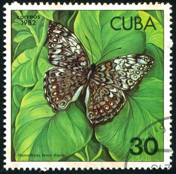 CUBA - CIRCA 1982: stamp printed by Cuba, shows butterfly, circa 1982