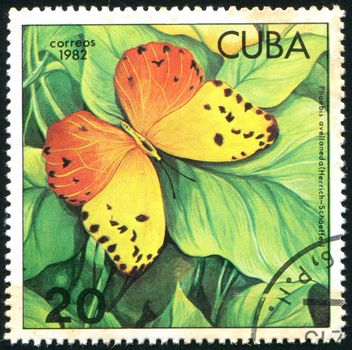 CUBA - CIRCA 1982: stamp printed by Cuba, shows butterfly, circa 1982