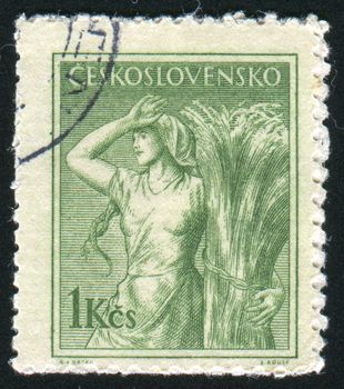 CZECHOSLOVAKIA - CIRCA 1954: stamp printed by Czechoslovakia, shows Farm woman, circa 1954