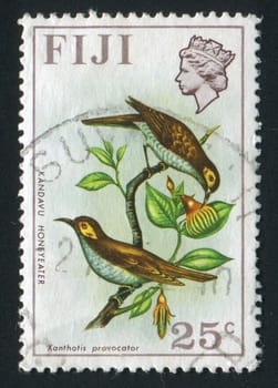 FIJI - CIRCA 1970: stamp printed by Fiji, shows Two birds, circa 1970.