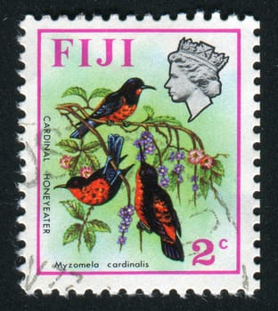 FIJI - CIRCA 1970: stamp printed by Fiji, shows Three birds, circa 1970.