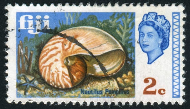 FIJI - CIRCA 1967: stamp printed by Fiji, shows shell, circa 1967.