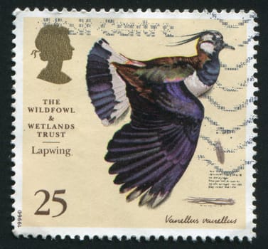 GREAT BRITAIN - CIRCA 1997: stamp printed by Great Britain, shows Paintings by Charles Tunnicliffe RA (1901-79).  Lapwing, circa 1997.