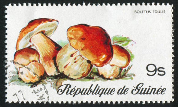 GUINEA - CIRCA 1977: stamp printed by Guinea, shows mushrooms, circa 1977