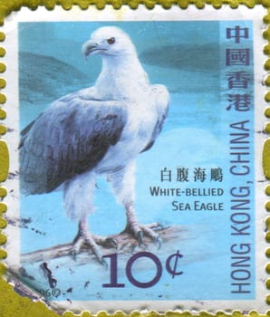 HONG KONG - CIRCA 2006: stamp printed by Hong Kong, shows White-bellied sea eagle, circa 2006