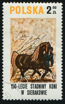 POLAND - CIRCA 1979: Horse Paintings. Horse trainer, circa 1979.