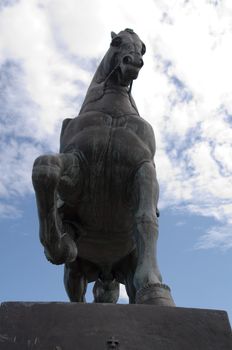 Statue of a horse. High resolution image. Dark blue background.