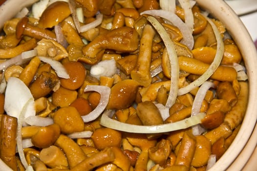 salad with marinated mushrooms and onions, pepper