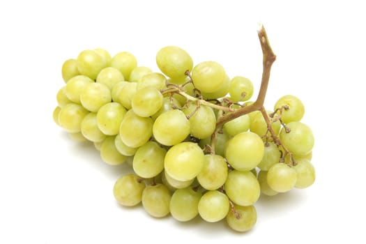 Branch of grapes isolated on white background
