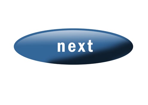 Blue button with the word "Next"