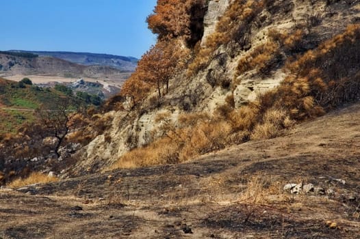 Burned out mountain side