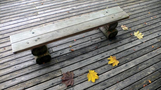 wooden bench on the deck in the autumnal park with few yellow maple leafs