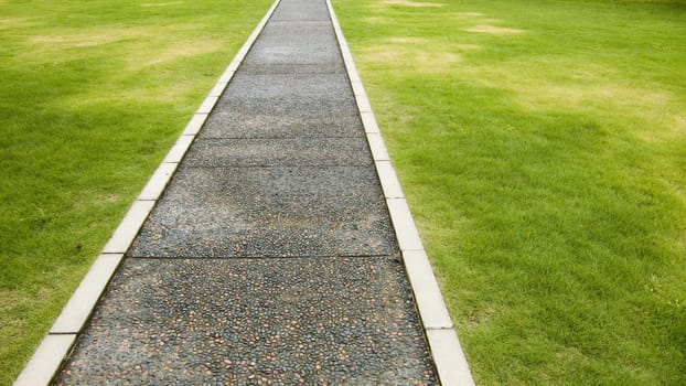 straight road on fresh highly-detailed green grass lawn background