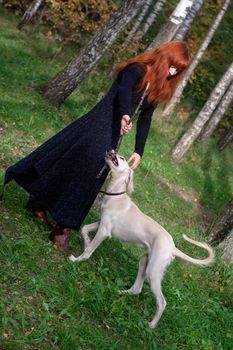 A girl in a black dress and white saliki pup in a forest 
