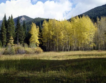 Fall in Rocky Mountains, Colorado