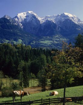 Bavarian Scenery, Germany