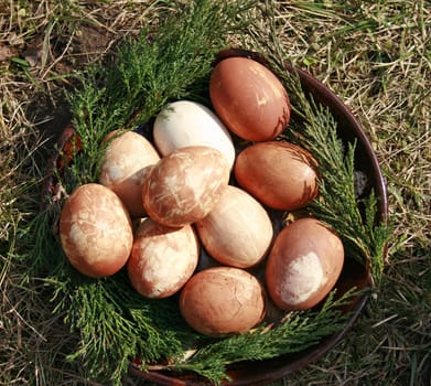 Easter eggs painted with natural materials (onion skins) in traditional way.