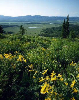 Jackson Hole, Wyoming