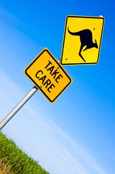 Closeup of kangaroo road warning sign against a blue sky