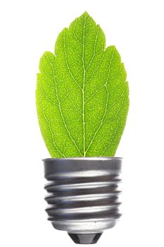 green leaf and bulb isolated on white showing ecological power concept