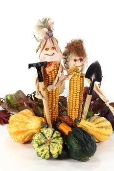 various pumpkins and corn doll on a white background