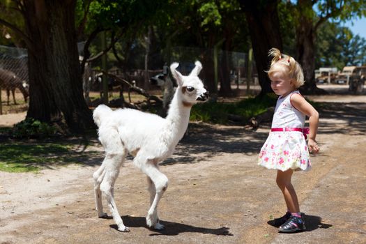 two children - lama and girl