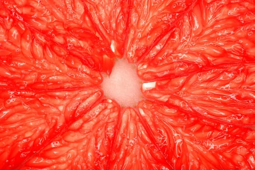 close up of a citrus fruit macro