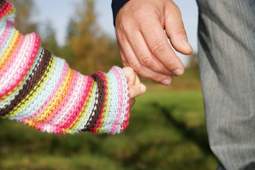 A parent holding the hand of its child while walking in a park............