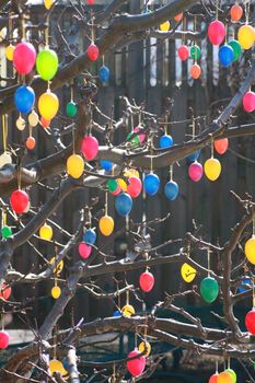 Eastertree with colourful eggs outside in the