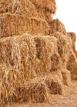 Pile of straw by product from rice field  after collecting season.