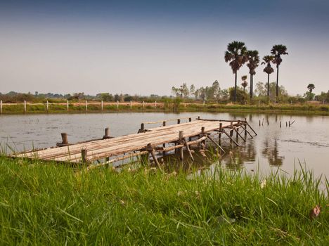 Bridge to the water pool in the rural of Thailand.