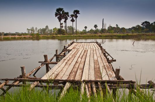 Bridge to the water pool in the rural of Thailand.