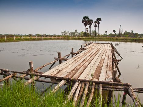 Bridge to the water pool in the rural of Thailand.