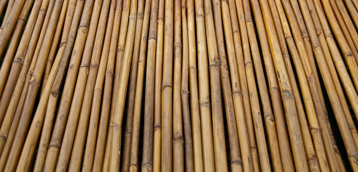 Yellow little bamboo trunks were in line by nails and arranged in fencing form.