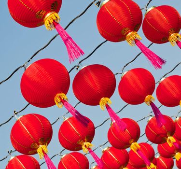 Red Chinese new year lantern and pink bob rows in front of blue sky.