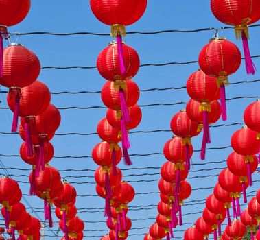Red Chinese new year lantern and pink bob rows in front of blue sky.