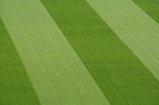 soccer field close-ups of markings of the field