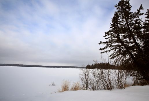 Snow Lanscape on Waskesui Lake in Winter Saskatchewan