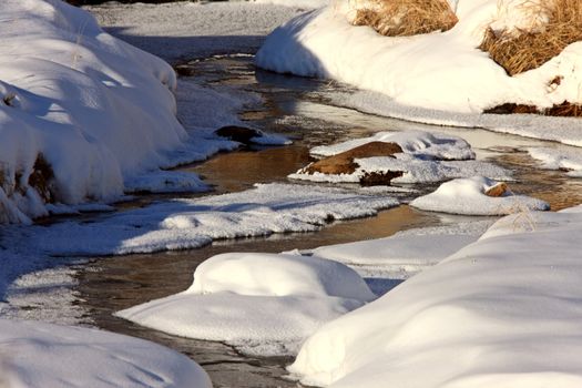 Icy Stream in Winter