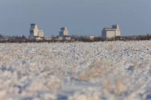 Frost and Grain Elevator in Winter Canada Saskatchewan