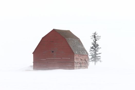 Old Barn in Winter Saskatchewan