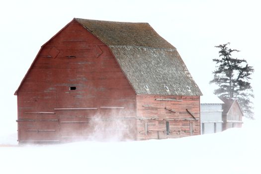 Old Barn in Winter Saskatchewan