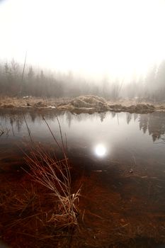 Misty Morning Lake  in Spring Saskatchewan