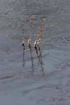 ice reflection abstract design