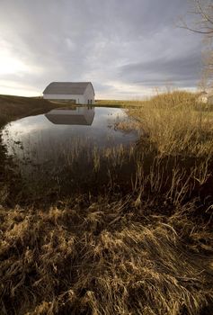Old Barn and Dugout marsh Canada